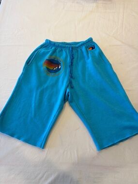 Aviator Nation men’s size small Turquoise Rainbow Logo Fleece Shorts